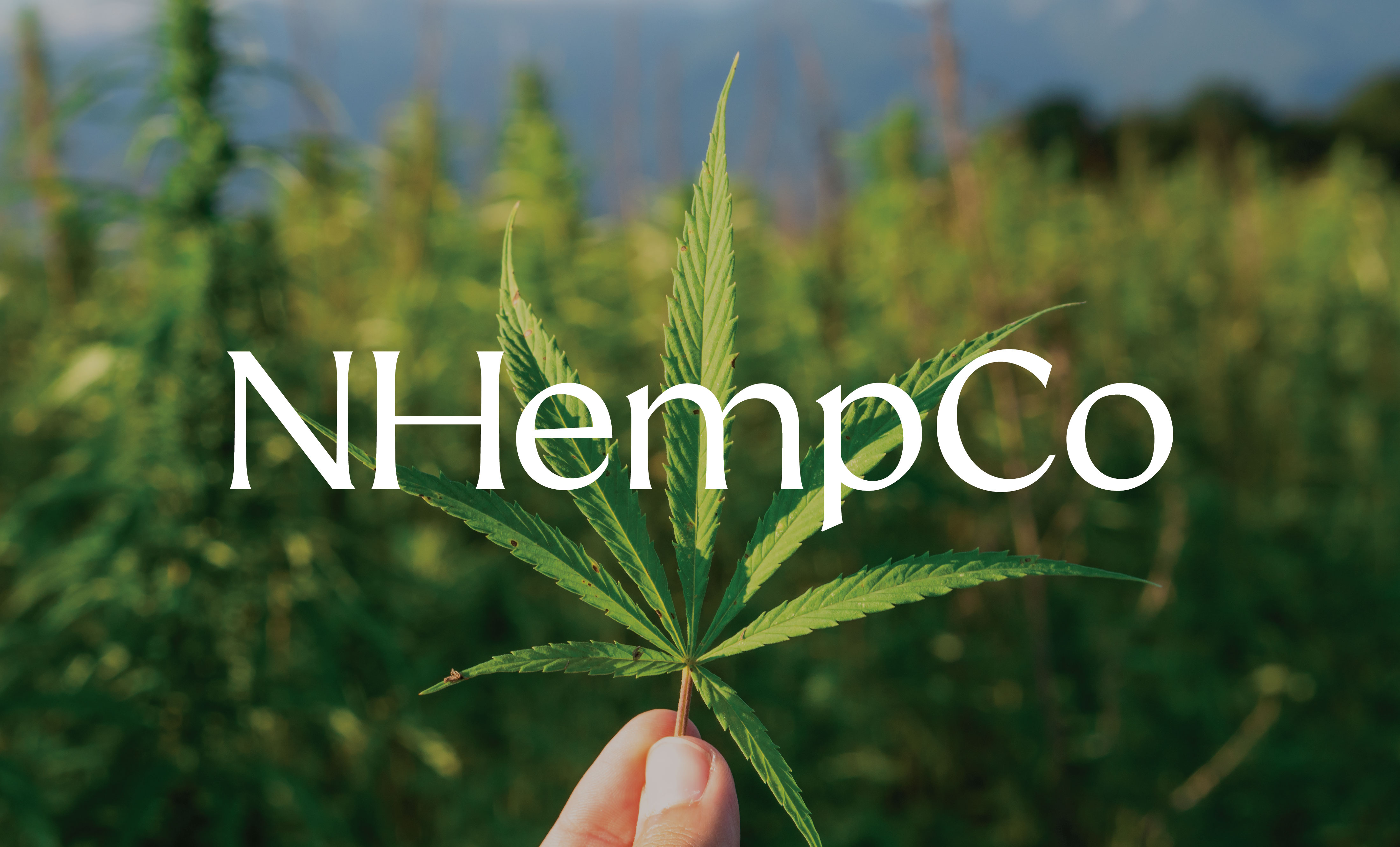 Nhempco media 2