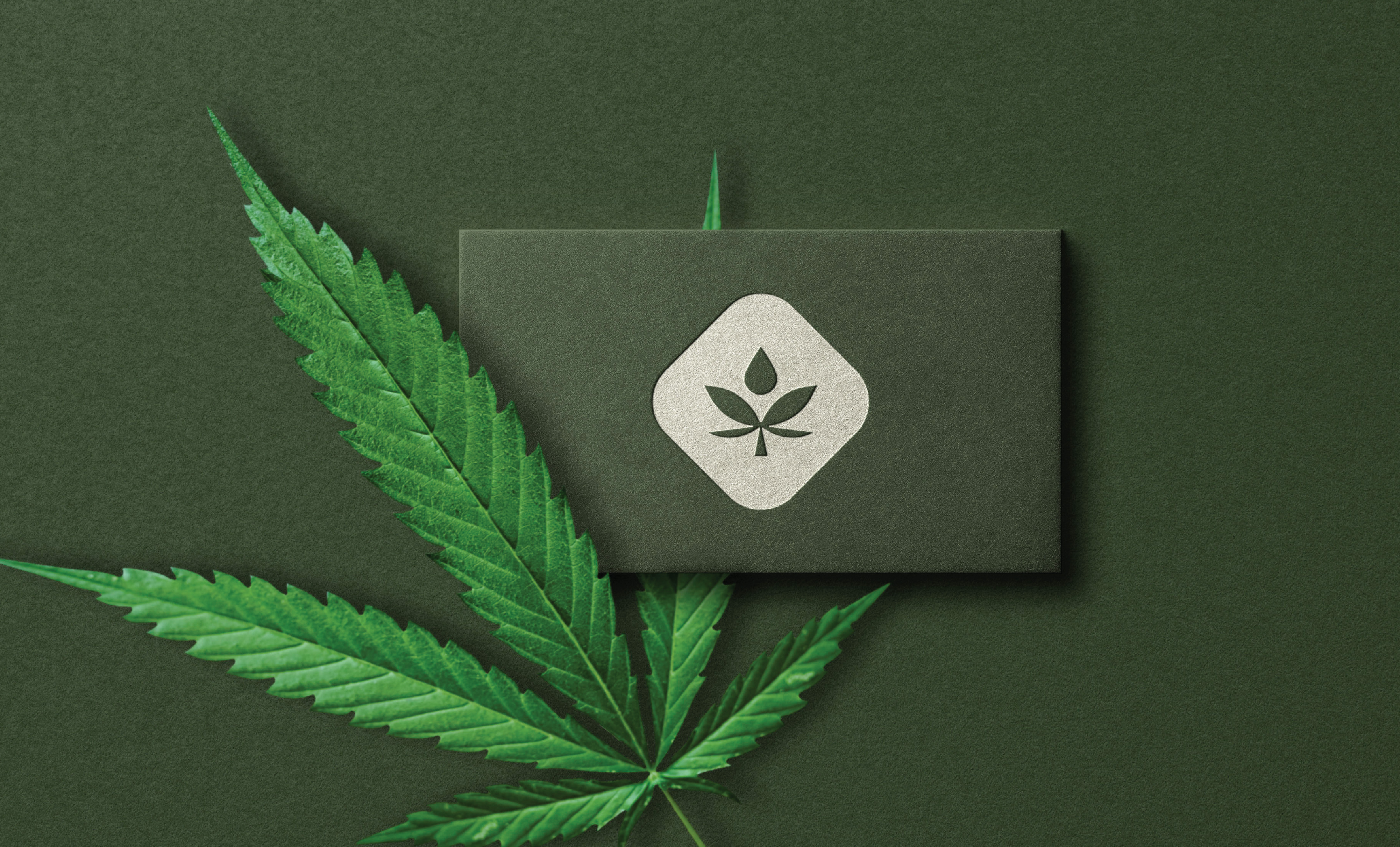 Nhempco media 6