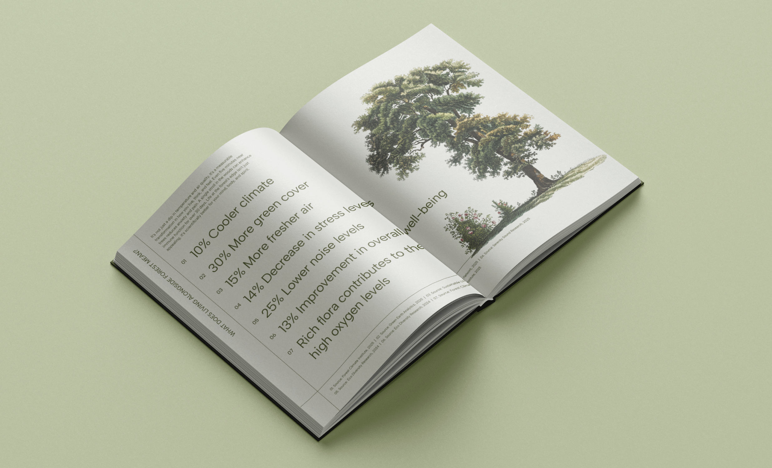 Sanctuary in the Woods media 13